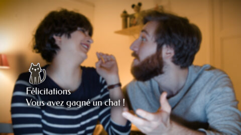 Félicitation vous avez gagné un chat VIGNETTE